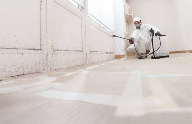 24/7 Emergency Crawl Space Mold Removal experts in Burlington, WA