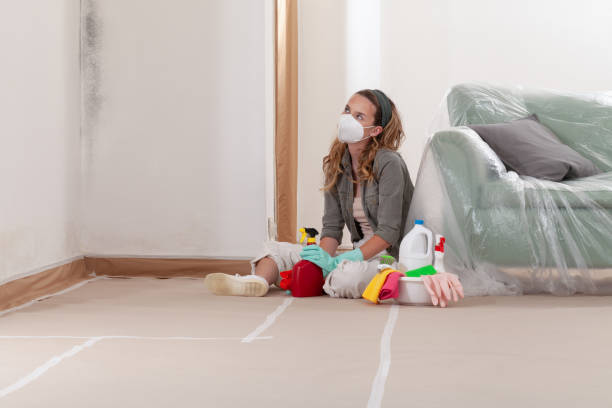Reliable Crawl Space Mold Removal contractor in Burlington, WA by WQB Mold Removal